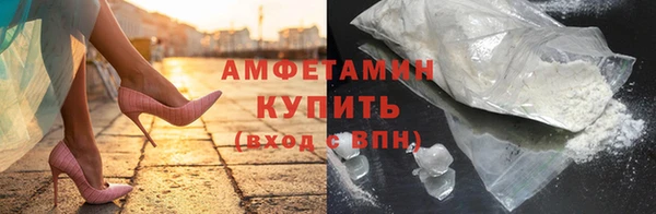 индика Козельск
