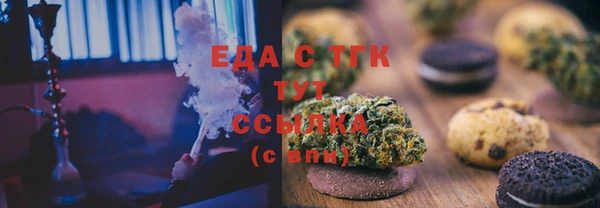 индика Козельск