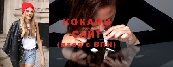 индика Козельск