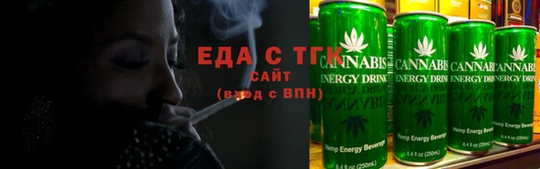 индика Козельск