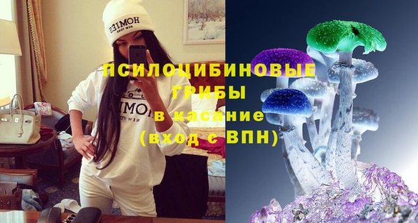 индика Козельск