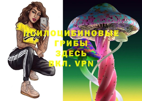 индика Козельск