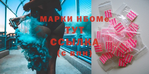 индика Козельск