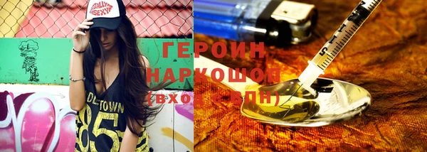 индика Козельск
