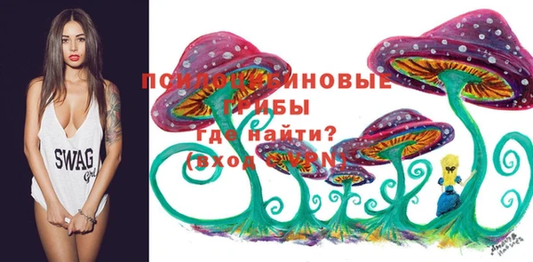 метадон Козловка