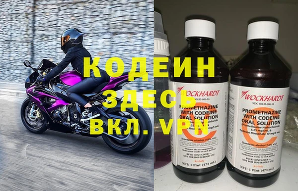 индика Козельск