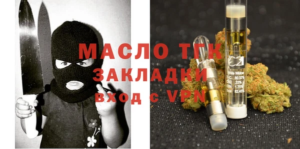 индика Козельск