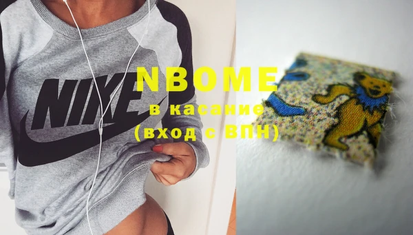 индика Козельск