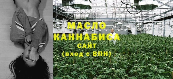 индика Козельск
