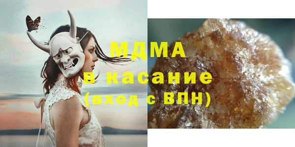 индика Козельск