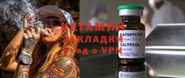 индика Козельск