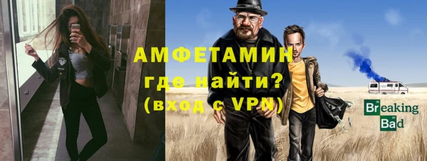 индика Козельск